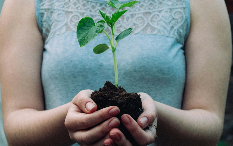 Nachhaltigkeitsberichte werden zur Belastungsprobe für die Logistikbranche